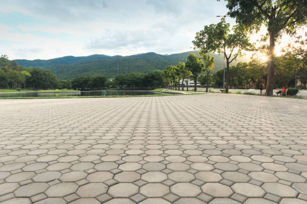 Best Custom Driveway Pavers  in Arlington Heights, WA